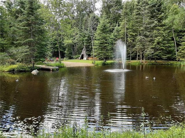 1017 Clement Lake Road, House detached with 3 bedrooms, 2 bathrooms and 6 parking in Highlands East ON | Image 24