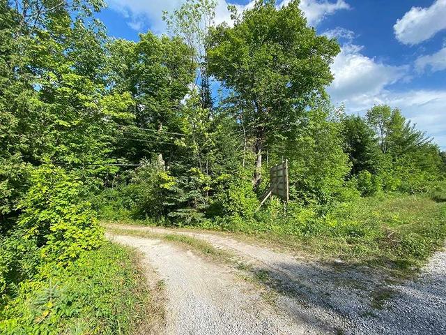 0 Highway 35 N, Home with 0 bedrooms, 0 bathrooms and null parking in Kawartha Lakes ON | Image 1