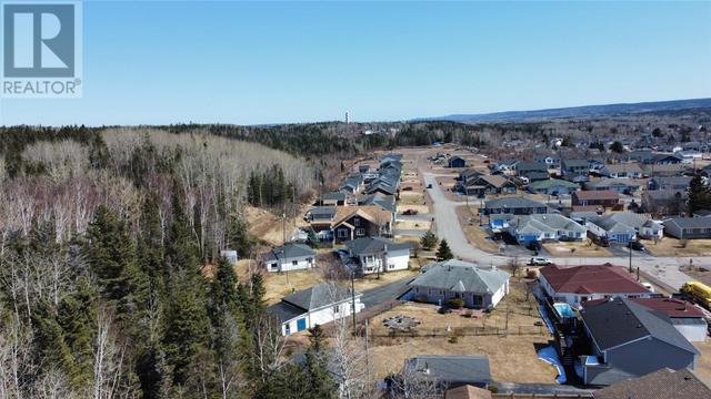 12 Mcdonald Crescent, House detached with 3 bedrooms, 2 bathrooms and null parking in Bishop's Falls NL | Image 45