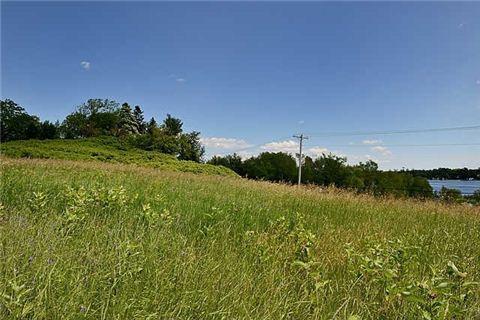 lot 52 Portage Rd, Home with 0 bedrooms, 0 bathrooms and null parking in Kawartha Lakes ON | Image 8