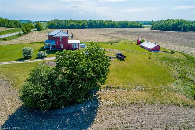 1668 County 8 Road, House detached with 4 bedrooms, 1 bathrooms and 11 parking in Trent Hills ON | Image 34