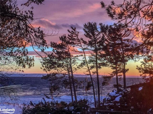 glorious winter sunset | Image 38