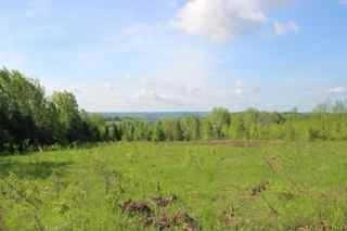 0 Side Road 16, Home with 0 bedrooms, 0 bathrooms and null parking in Meaford ON | Image 3