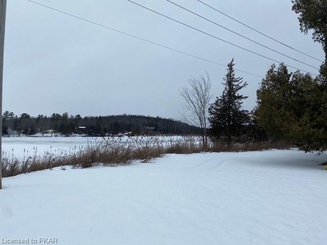 619 County Road 38, House detached with 1 bedrooms, 1 bathrooms and 5 parking in Trent Hills ON | Image 13