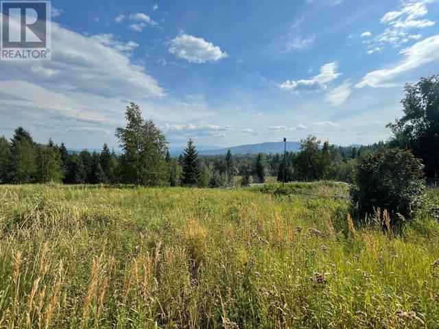 lot 13 Hyas Lake Fs Road, Home with 1 bedrooms, 1 bathrooms and null parking in Thompson Nicola P (Rivers and the Peaks) BC | Image 3