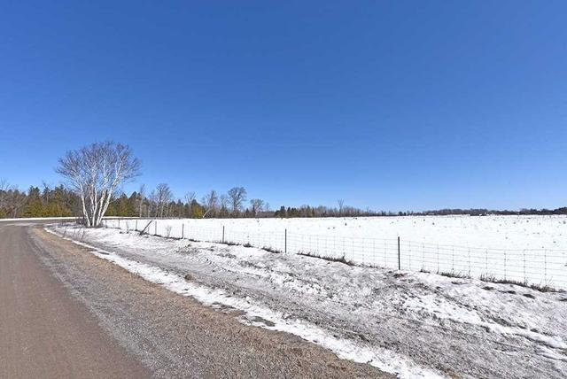 0 Palestine Rd, Home with 0 bedrooms, 0 bathrooms and null parking in Kawartha Lakes ON | Image 17