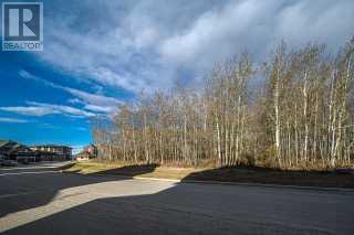 7 Springbluff Point Sw, House detached with 5 bedrooms, 3 bathrooms and 6 parking in Calgary AB | Image 47