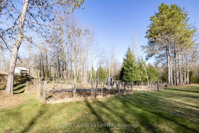 3994 County Road 620, House detached with 3 bedrooms, 2 bathrooms and 8 parking in North Kawartha ON | Image 31