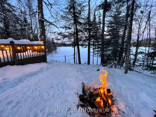 4 - 1202 Shea Rd, House detached with 3 bedrooms, 1 bathrooms and 8 parking in Muskoka Lakes ON | Image 4