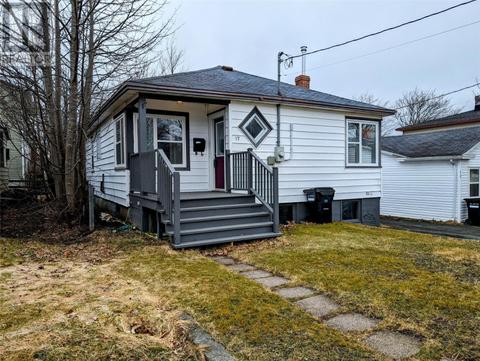 17 Monchy Street, House detached with 2 bedrooms, 1 bathrooms and null parking in St. John's NL | Card Image