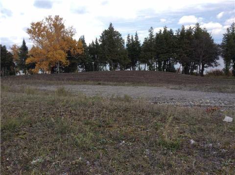 lot 16 Peller Crt, Home with 0 bedrooms, 0 bathrooms and null parking in Kawartha Lakes ON | Image 4