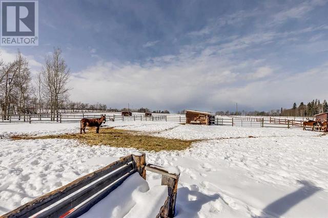 4224 Township Road 300 Townline, House detached with 2 bedrooms, 2 bathrooms and 99 parking in Mountain View County AB | Image 47