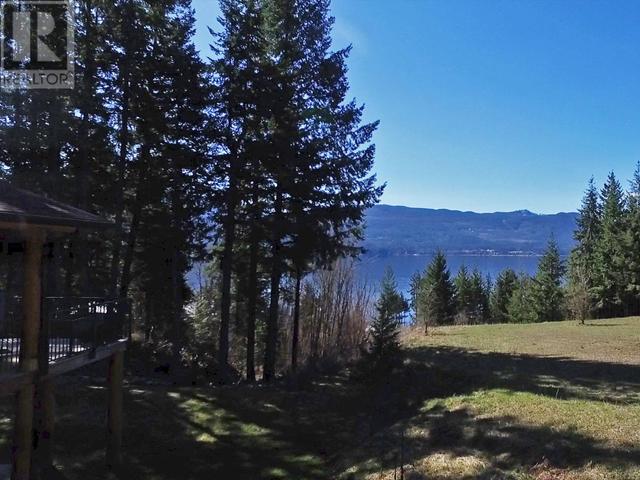 2589 Airstrip Road, House detached with 3 bedrooms, 3 bathrooms and 2 parking in Columbia Shuswap F BC | Image 64