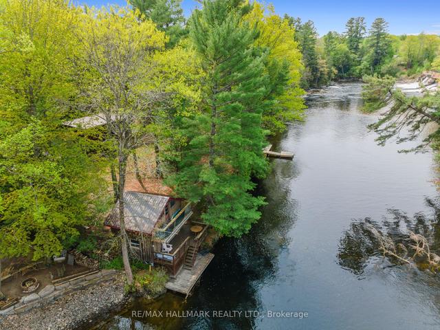 31 Government Dock Rd, House detached with 4 bedrooms, 2 bathrooms and 4 parking in Kawartha Lakes ON | Image 32