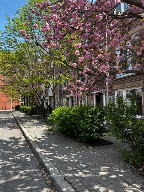 25 Pear Tree Mews, House attached with 3 bedrooms, 3 bathrooms and 1 parking in Toronto ON | Image 1