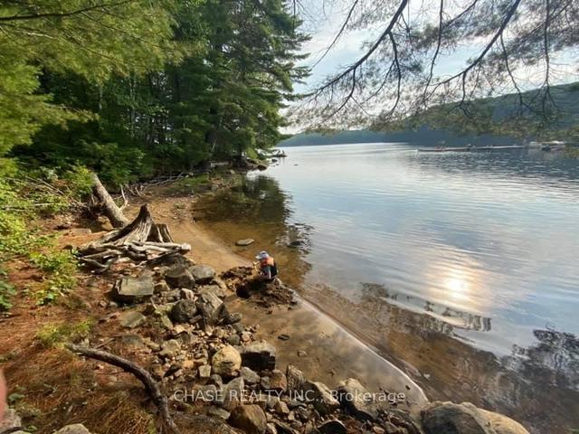 2076 Little Hawk Lake Rd, House detached with 2 bedrooms, 1 bathrooms and 11 parking in Algonquin Highlands ON | Image 29