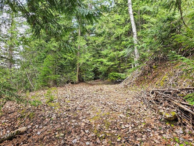 8788 Highway 6, House detached with 2 bedrooms, 2 bathrooms and null parking in Central Kootenay H BC | Image 82