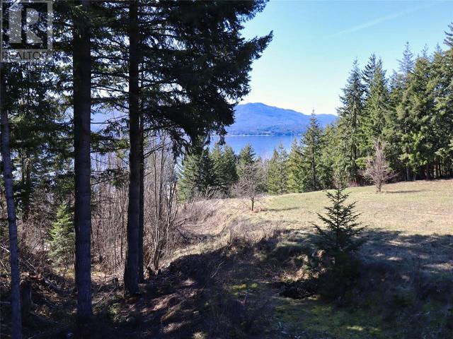 2589 Airstrip Road, House detached with 3 bedrooms, 3 bathrooms and 2 parking in Columbia Shuswap F BC | Image 59