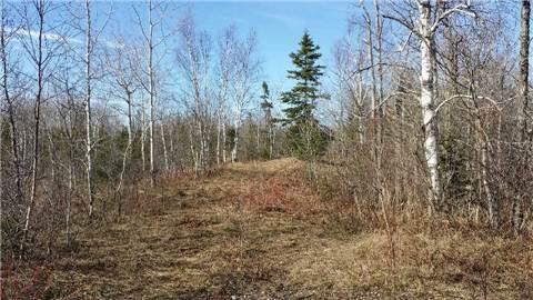0 4 Line Ne, Home with 0 bedrooms, 0 bathrooms and null parking in Melancthon ON | Image 8
