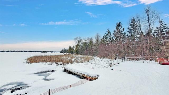 21 Cedar Bay Rd, House detached with 4 bedrooms, 1 bathrooms and 6 parking in Kawartha Lakes ON | Image 28