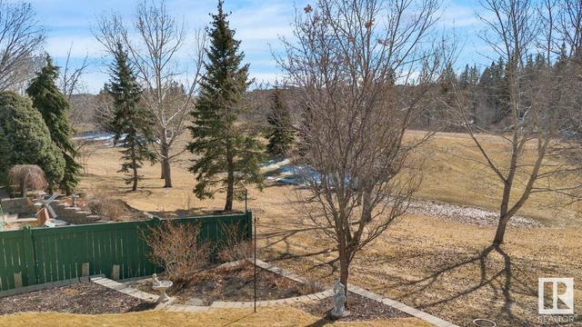 731 Blackwood Cr Sw, House detached with 4 bedrooms, 2 bathrooms and 4 parking in Edmonton AB | Image 41