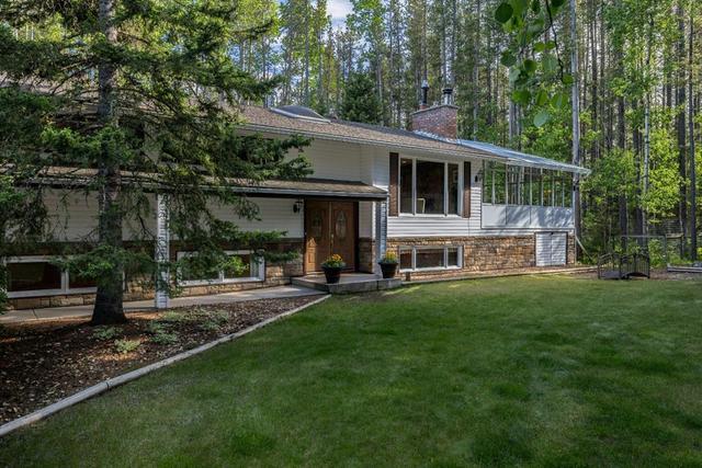 336251 Leisure Lake Drive W, House detached with 4 bedrooms, 3 bathrooms and 2 parking in Foothills County AB | Card Image