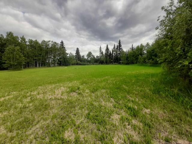 79346 120 Road, House detached with 3 bedrooms, 2 bathrooms and 2 parking in Saddle Hills County AB | Image 46