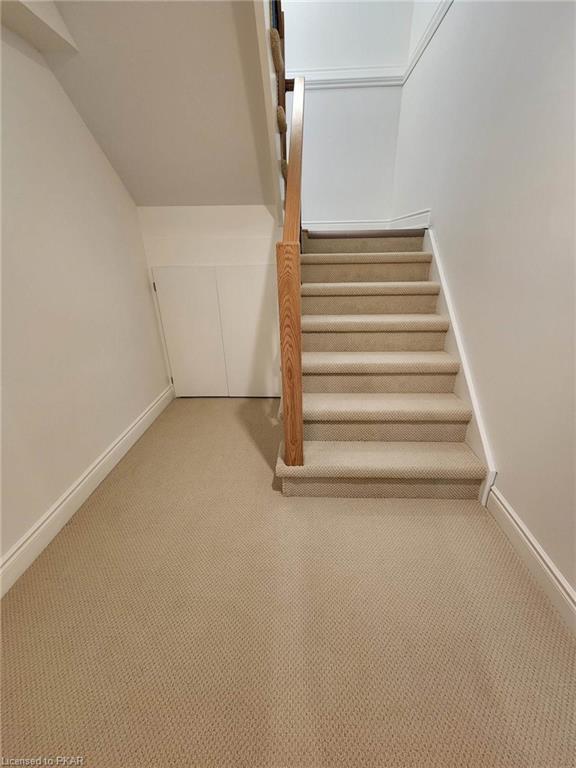 DOWN TO BASEMENT LEVEL | Image 25