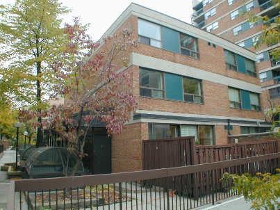 th12 - 73 Mccaul St, Townhouse with 3 bedrooms, 2 bathrooms and null parking in Toronto ON | Image 1
