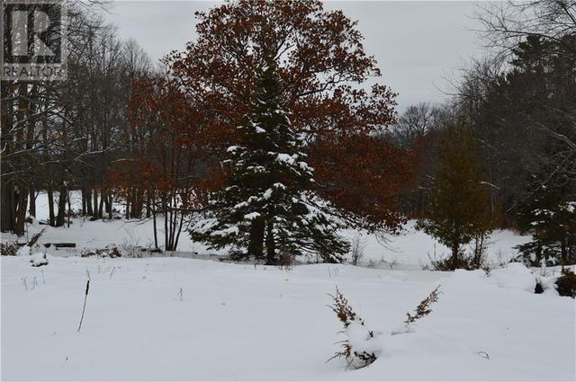 This lot would be a great spot for your dream home, Very private with no neighbours close by. | Image 2