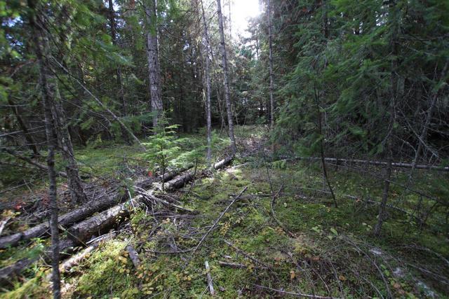lot 9 Clark Road, Home with 0 bedrooms, 0 bathrooms and null parking in Central Kootenay K BC | Image 8