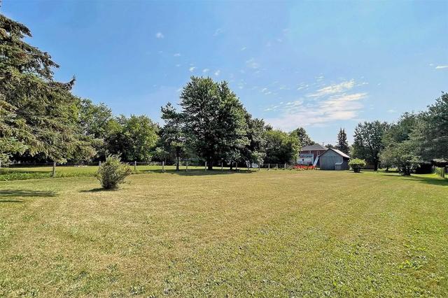 905 Highway 7, House detached with 3 bedrooms, 1 bathrooms and 4 parking in Kawartha Lakes ON | Image 35
