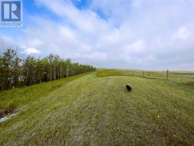 9023 Highway 41, House detached with 1 bedrooms, 0 bathrooms and null parking in Cypress County AB | Image 5