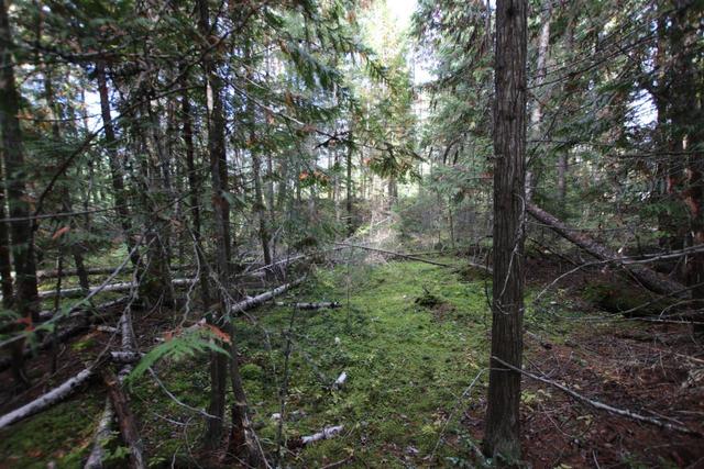 lot 9 Clark Road, Home with 0 bedrooms, 0 bathrooms and null parking in Central Kootenay K BC | Image 7