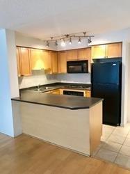 506 - 18 Stafford St, Condo with 1 bedrooms, 1 bathrooms and 1 parking in Toronto ON | Image 2