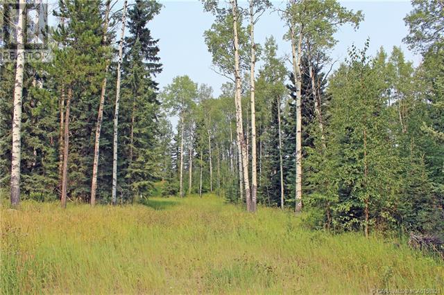5 Ridgeland Road, Home with 0 bedrooms, 1 bathrooms and null parking in Clearwater County AB | Card Image