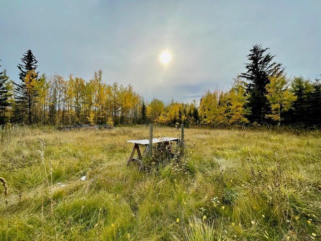 53105 Range Road 195 #25, House detached with 2 bedrooms, 2 bathrooms and 2 parking in Yellowhead County AB | Image 25