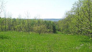 lot 14 11th Line, Home with 0 bedrooms, 0 bathrooms and null parking in South Bruce Peninsula ON | Image 1