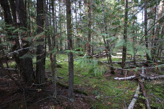 lot 9 Clark Road, Home with 0 bedrooms, 0 bathrooms and null parking in Central Kootenay K BC | Image 24
