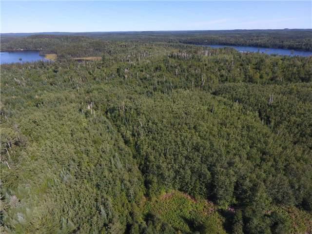 00 Flavelle Twp, Home with 0 bedrooms, null bathrooms and null parking in Timiskaming, Unorganized, West Part ON | Image 13