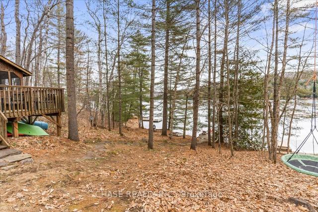 2076 Little Hawk Lake Rd, House detached with 2 bedrooms, 1 bathrooms and 11 parking in Algonquin Highlands ON | Image 26