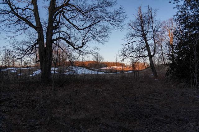 lot 8 1st Line E, Home with 0 bedrooms, 0 bathrooms and null parking in Mulmur ON | Image 8