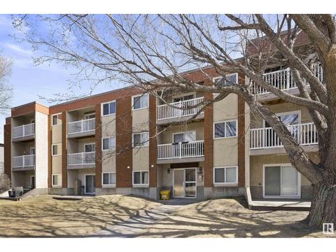 302 - 10615 156 St Nw, Condo with 2 bedrooms, 1 bathrooms and 1 parking in Edmonton AB | Card Image