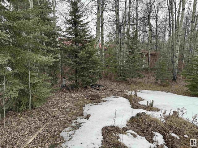 41a - 5429 Twp 494, House detached with 4 bedrooms, 2 bathrooms and null parking in Brazeau County AB | Image 43