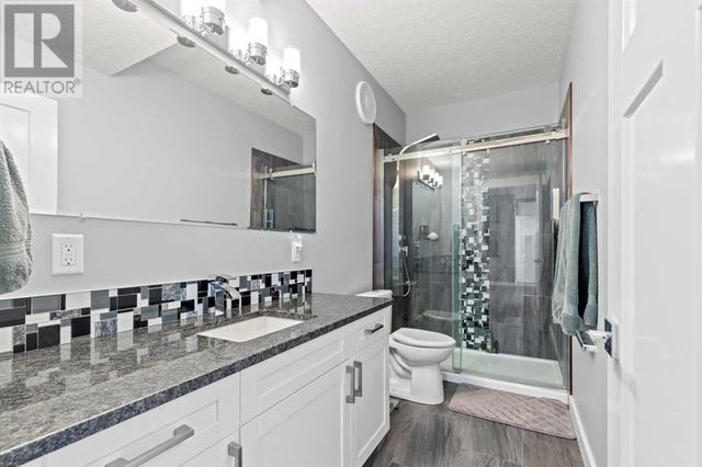 7041 85 Street, House detached with 4 bedrooms, 3 bathrooms and 6 parking in Grande Prairie AB | Image 17
