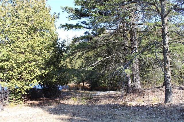 1955 County Road 30 Road, House detached with 1 bedrooms, 2 bathrooms and 6 parking in North Glengarry ON | Image 27