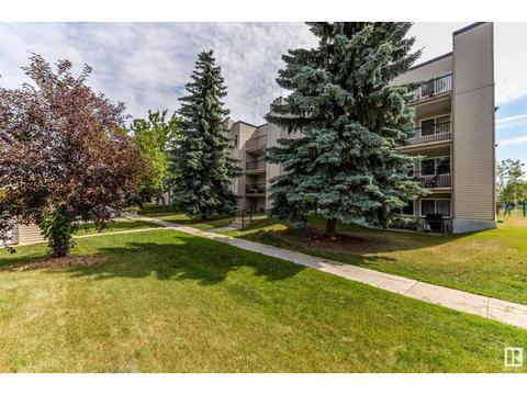 207 - 9810 178 St Nw Nw, Condo with 1 bedrooms, 1 bathrooms and null parking in Edmonton AB | Card Image