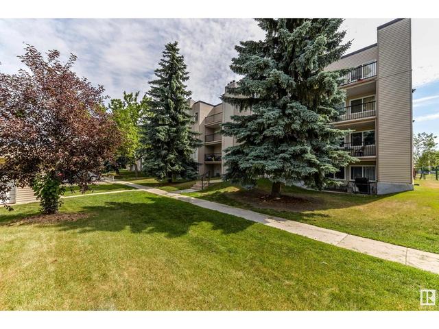 207 - 9810 178 St Nw Nw, Condo with 1 bedrooms, 1 bathrooms and null parking in Edmonton AB | Image 1