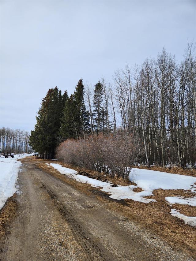 390072 Range Road 4 3, House detached with 2 bedrooms, 3 bathrooms and 2 parking in Clearwater County AB | Image 13
