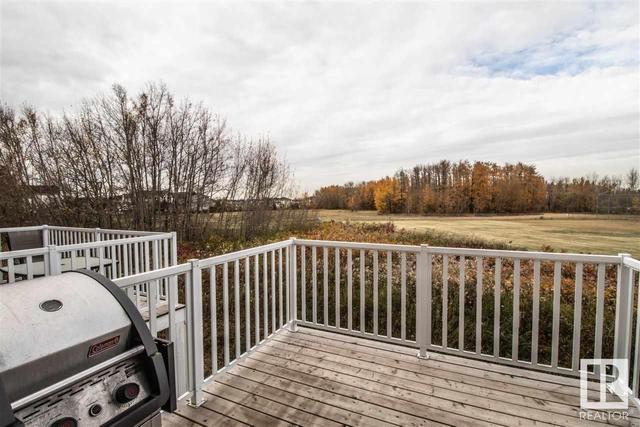 39 - 320 Secord Bv Nw, House attached with 2 bedrooms, 2 bathrooms and null parking in Edmonton AB | Image 20